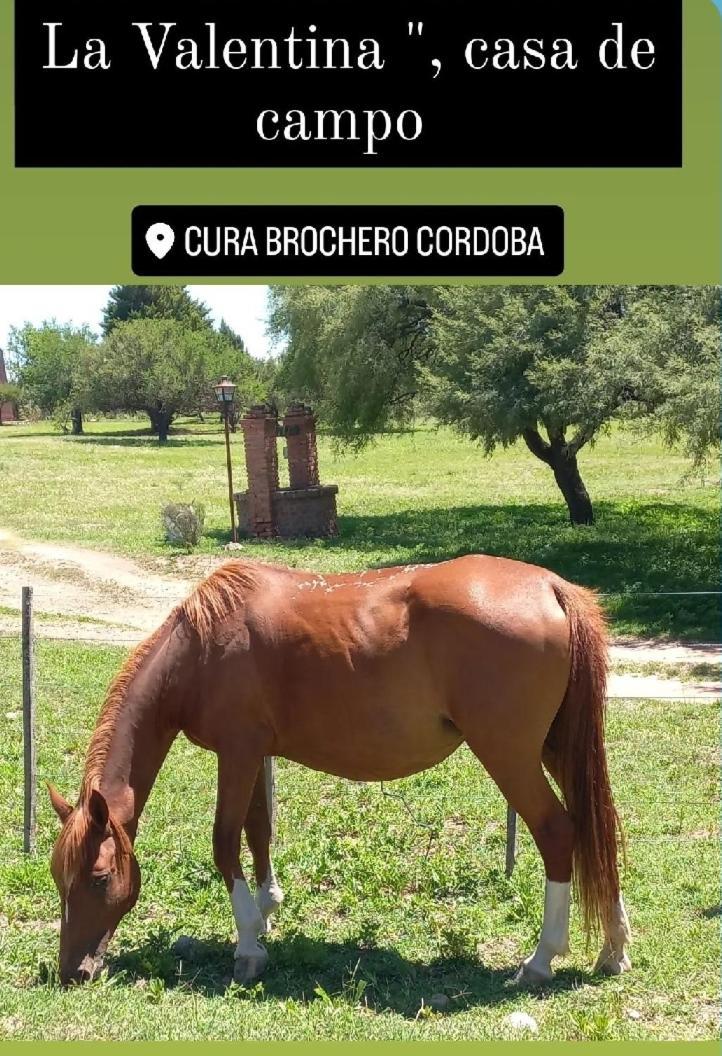 La Valentina Casa De Campo Вила Сура Брочеро Екстериор снимка
